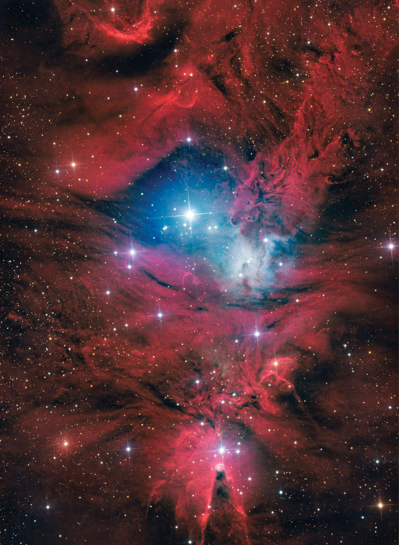 Туманность NGC2264 «Рождественская ёлка» созвездие Единорог